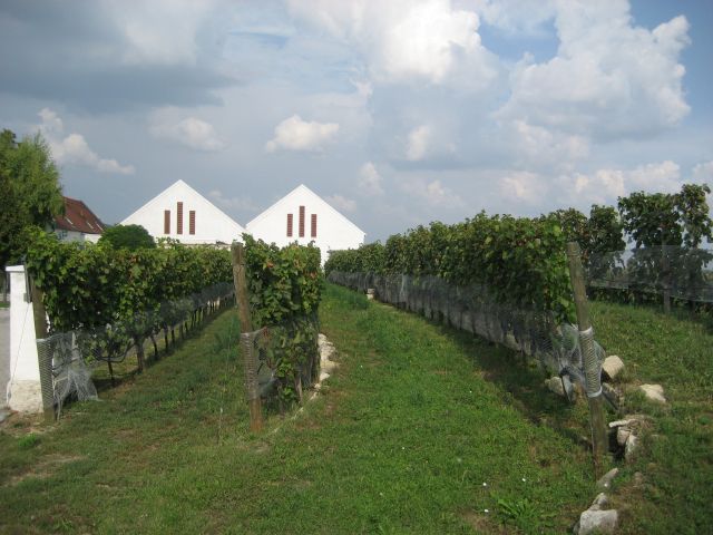 Weingut Umathum